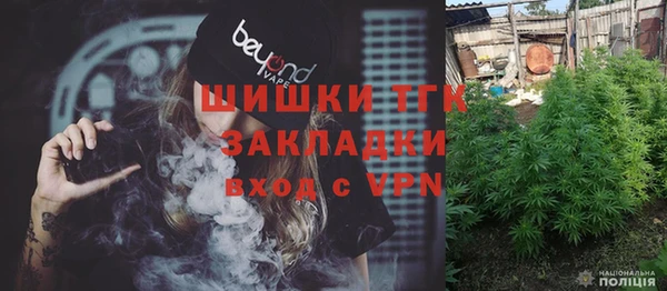 метадон Няндома