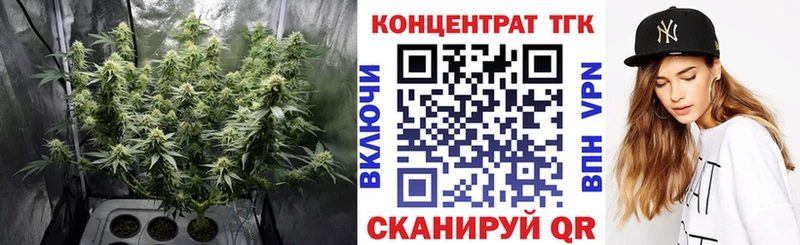 закладка  Армавир  ТГК вейп 