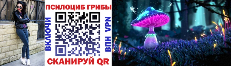 ссылка на мегу сайт  Армавир  Галлюциногенные грибы MAGIC MUSHROOMS 