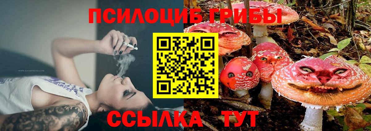 Псилоцибиновые грибы MAGIC MUSHROOMS  Псилоцибиновые грибы Cubensis  Армавир  Вход с VPN 